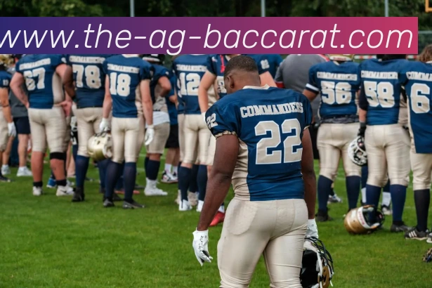 AG百家乐平台生态图